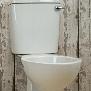 Replacement coloured toilet pan and cistern