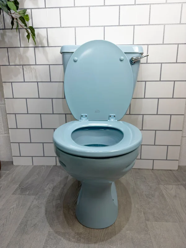 Toilet pan and cistern - Image 4