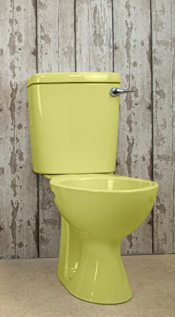 Replacement coloured toilet pan and cistern - Image 8