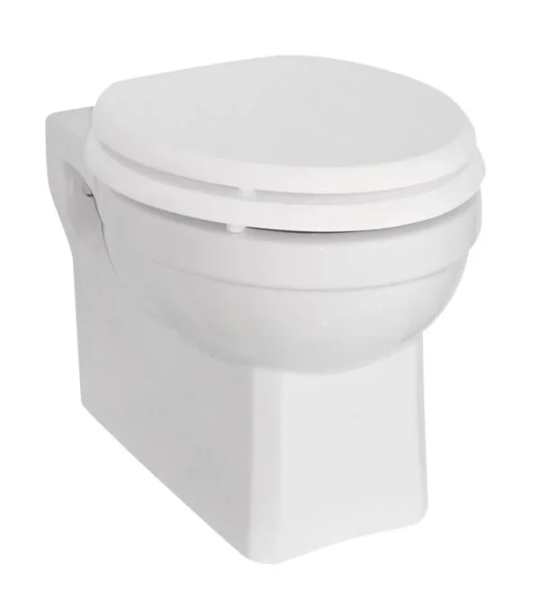 Wall Hung Toilet pan - Coloured