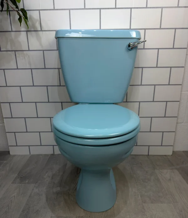 Toilet pan and cistern - Image 3