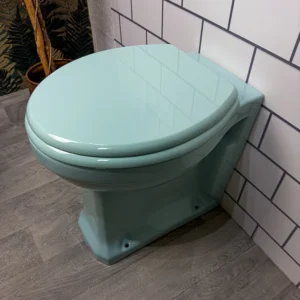 Bespoke Coloured Toilet Seat