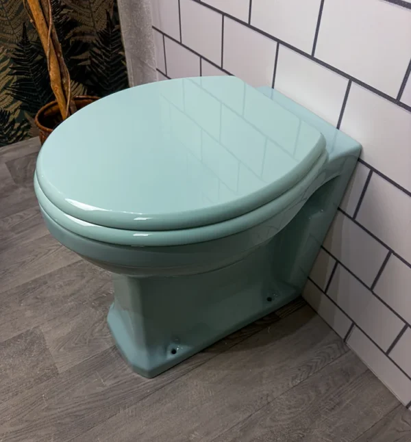 Bespoke Coloured Toilet Seat